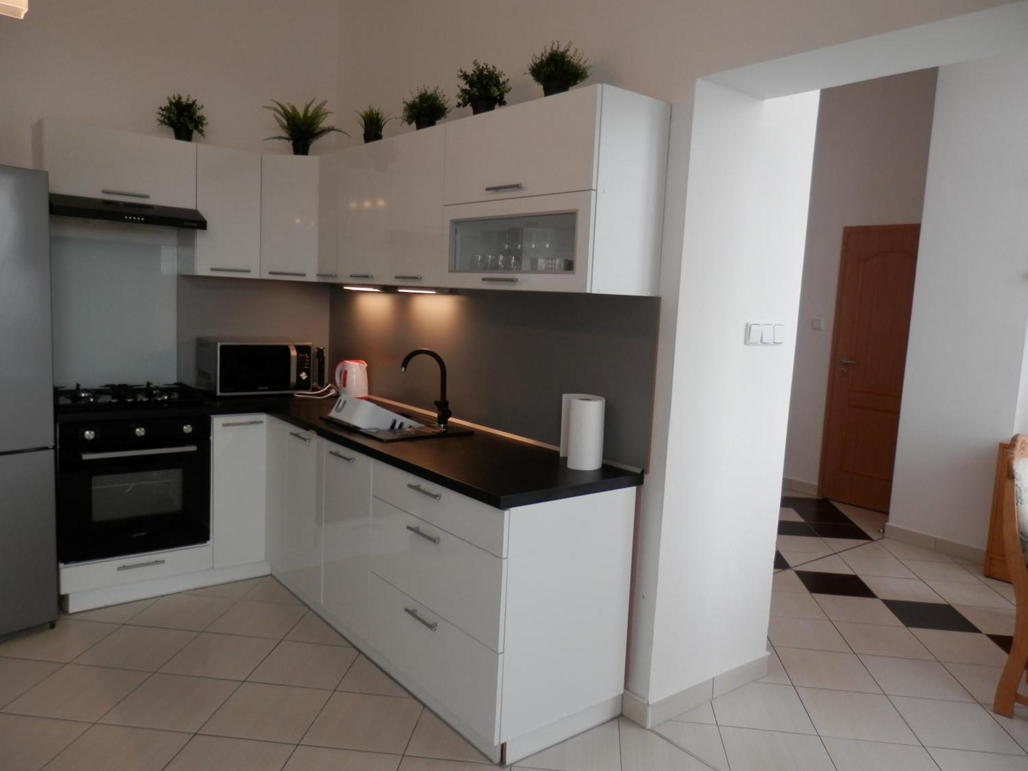 Spacious Apartment Below Spilberk Castle ブルノ エクステリア 写真